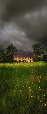 Lost in Suffolk